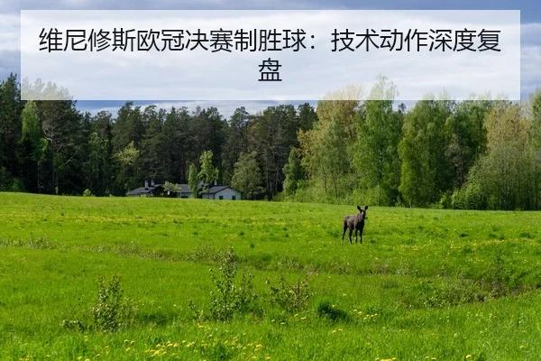 wei-ni-xiu-si-ou-guan-jue-sai-zhi-sheng-qiu-ji-shu-dong-zuo-shen-du-fu-pan-2-689.jpg