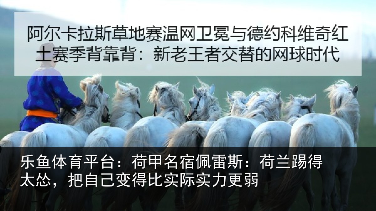 乐鱼体育平台：荷甲名宿佩雷斯：荷兰踢得太怂，把自己变得比实际实力更弱