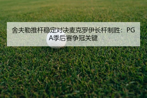 she-fu-lei-tui-gan-wen-ding-dui-jue-mai-ke-luo-yi-zhang-gan-zhi-sheng-ji-hou-sai-zheng-guan-guan-jian-2-870.jpg