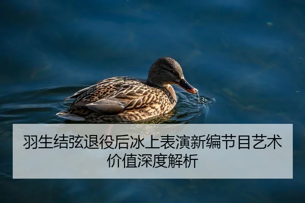 羽生结弦退役后冰上表演新编节目艺术价值深度解析